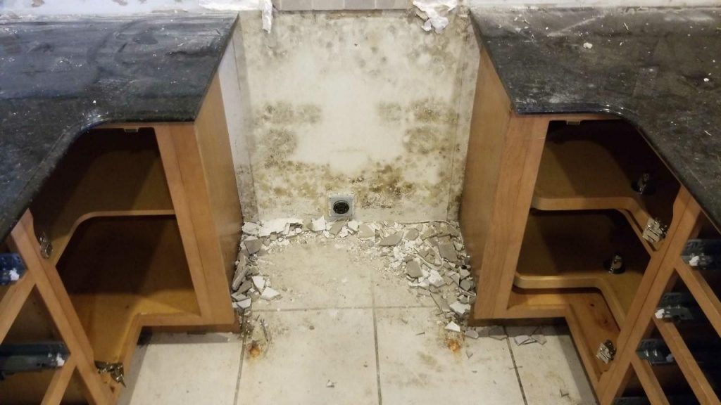 Water Damage Oakland Park | Mold Damage | Flood Damage