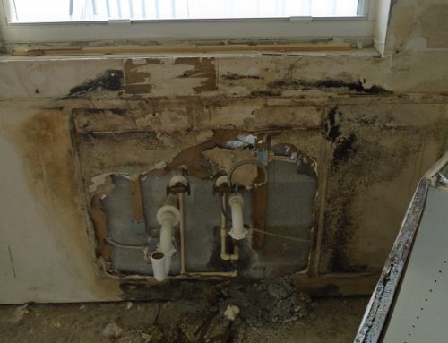 Do You Need Water Damage Restoration in Oakland Park?