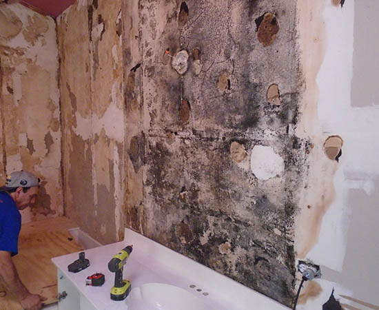 Five Signs of Mold You Should NEVER Ignore!