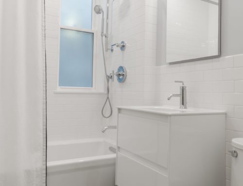 Most Common Areas to Find Mold in Your Bathroom