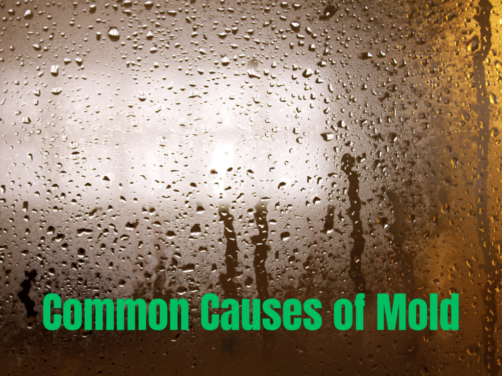 Common Causes of Mold