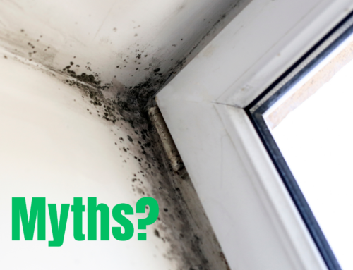 Debunking Common Myths About Mold in Your Home: Setting the Record Straight