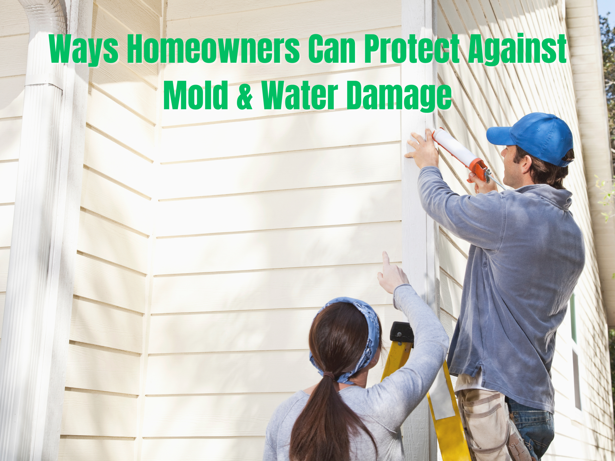 Ways Homeowners Can Protect Against Mold & Water Damage