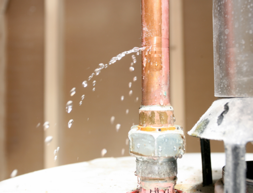 Top 10 Tips for Handling Water Leaks in Fort Lauderdale