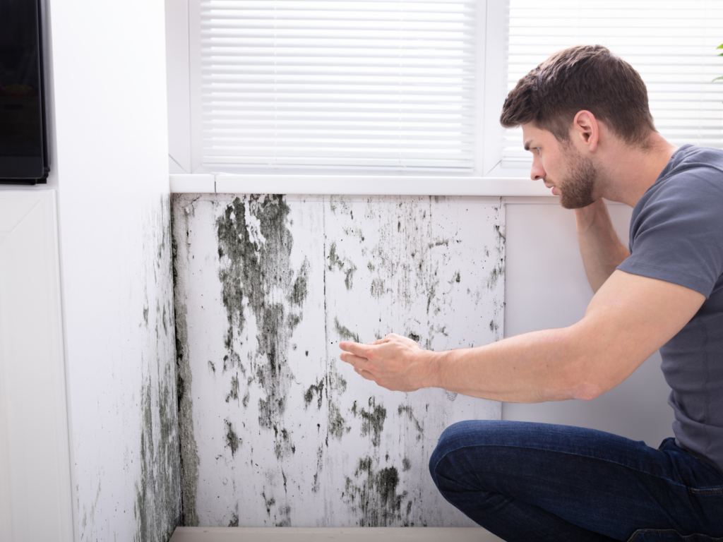 Man finds mold in his house.