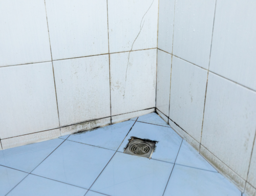 Preventing Mold in Your Fort Lauderdale Bathroom: A Comprehensive Guide