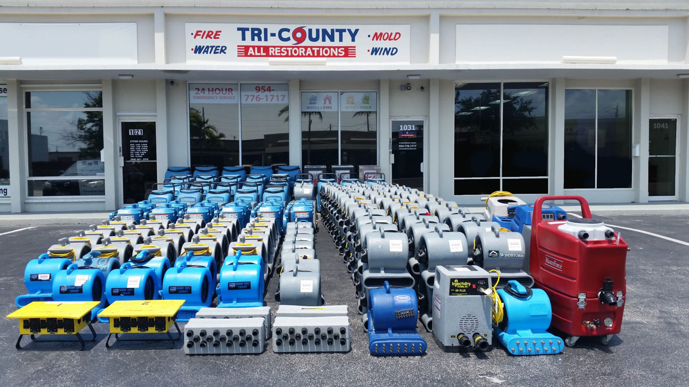 fort lauderdale mold remediation and water damage restoration