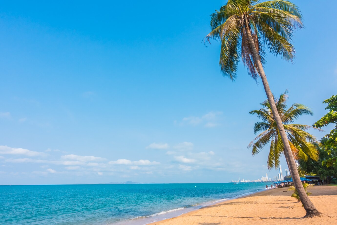 Coastal landscape in South Florida