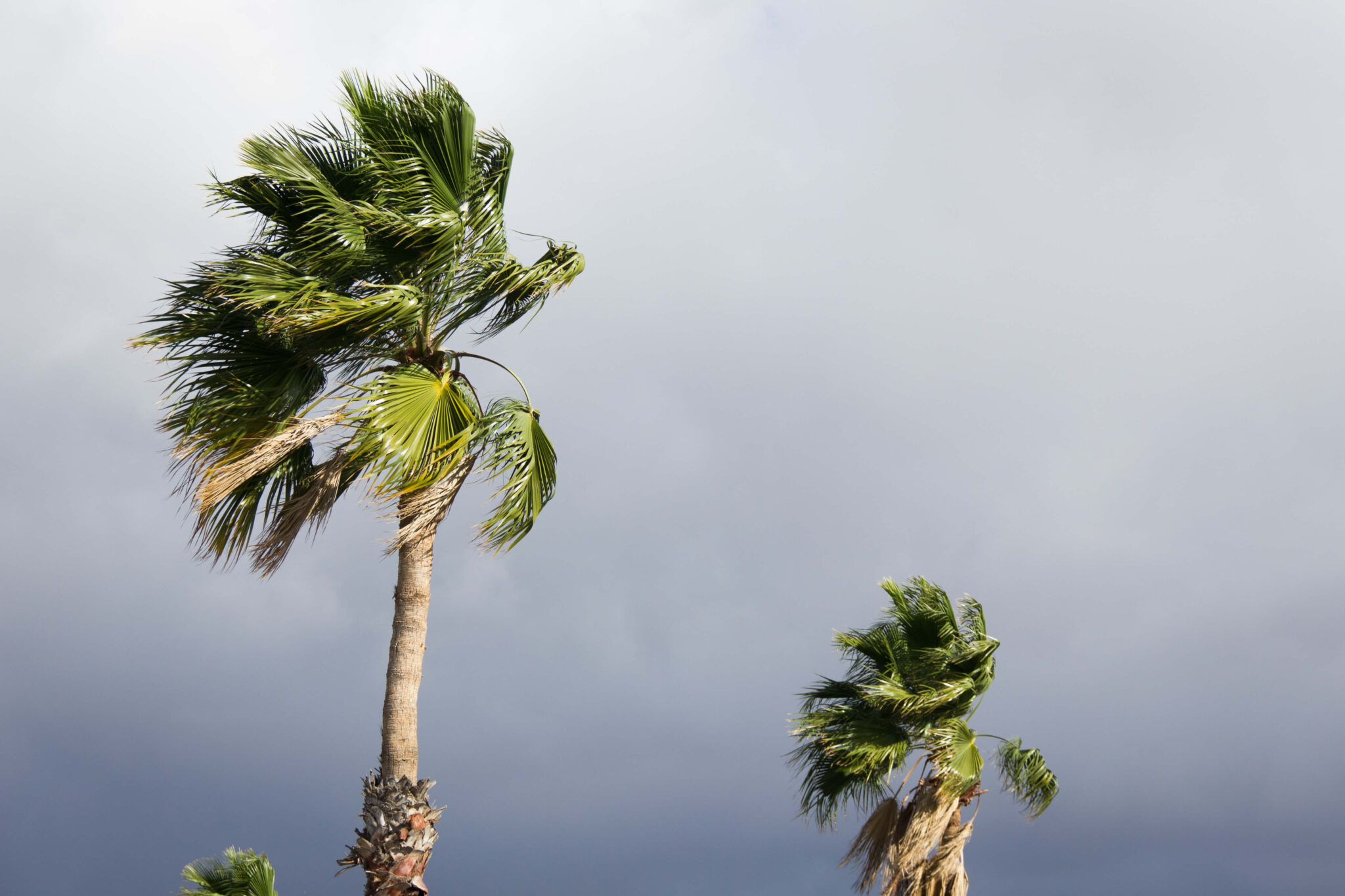 Storm and wind damage to a Fort Lauderdale property